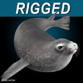 Weddell Seal